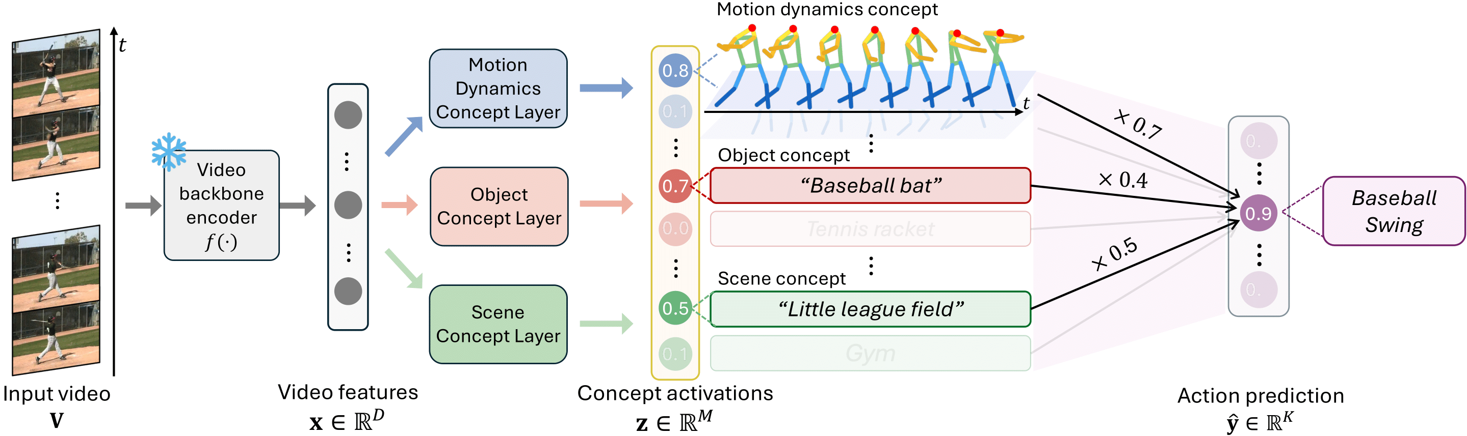 Disentangled concepts speak louder than words